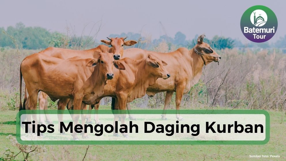 5 Tips Olah Daging Kurban Agar Empuk & Tidak Bau